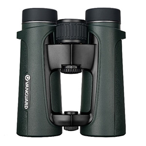 Descripción de la imagen