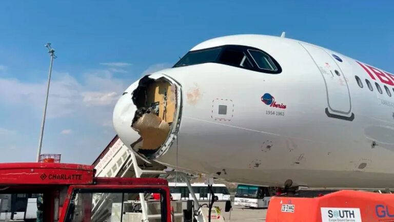 Un avión, gravemente afectado por el choque con un ave rapaz en Madrid